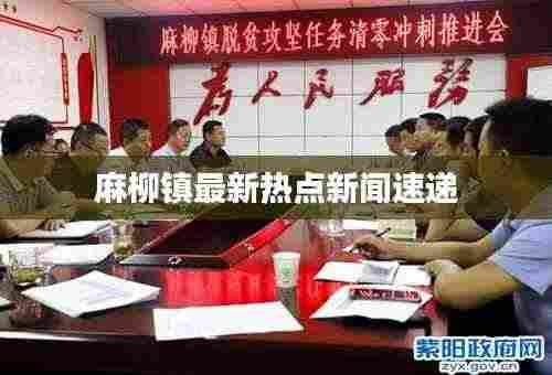 麻柳镇最新热点新闻速递