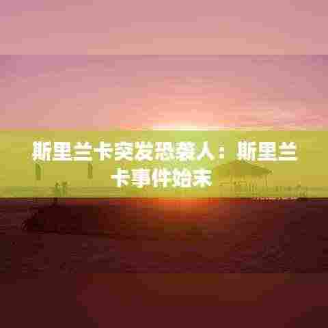 斯里兰卡突发恐袭人:斯里兰卡事件始末