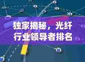 独家揭秘,光纤行业领导者排名,洞悉领先者的成功秘诀!