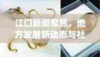 飞黄腾踏 第4页