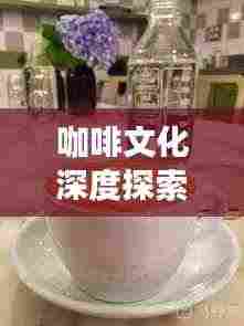 咖啡文化深度探索,探寻咖啡背后的故事与魅力