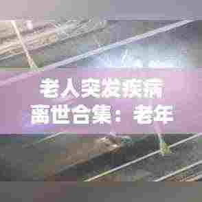 老人突发疾病离世合集：老年人突发疾病死亡 