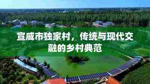 宣威市独家村，传统与现代交融的乡村典范
