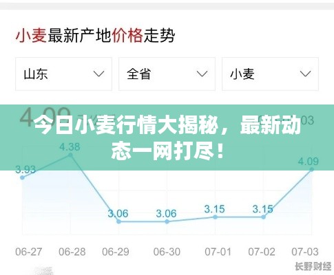 今日小麦行情大揭秘,最新动态一网打尽!