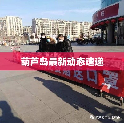 葫芦岛最新动态速递
