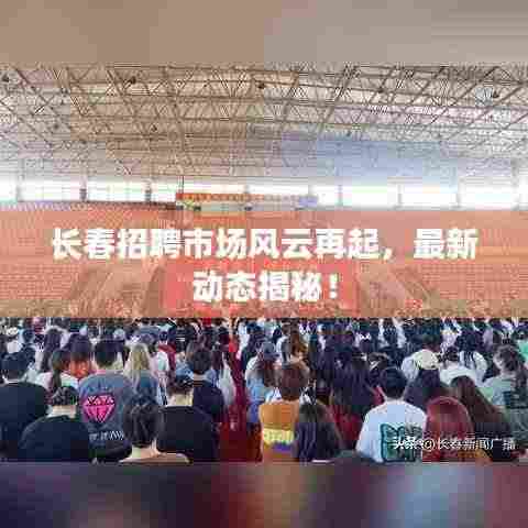 长春招聘市场风云再起,最新动态揭秘!