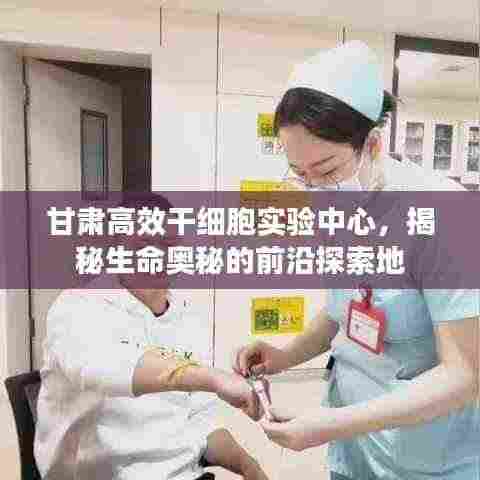 甘肃高效干细胞实验中心,揭秘生命奥秘的前沿探索地