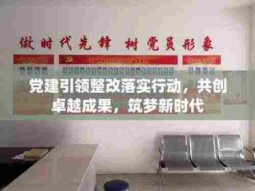 党建引领整改落实行动,共创卓越成果,筑梦新时代