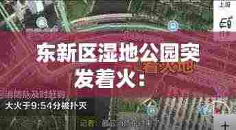 东新区湿地公园突发着火： 