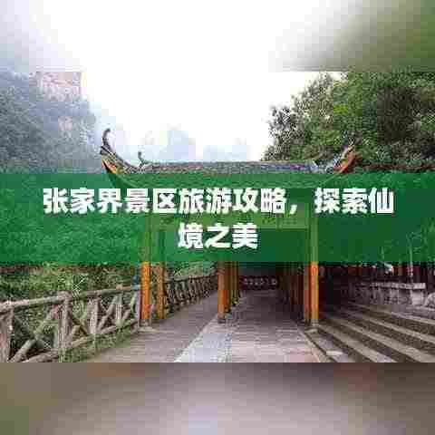 张家界景区旅游攻略,探索仙境之美