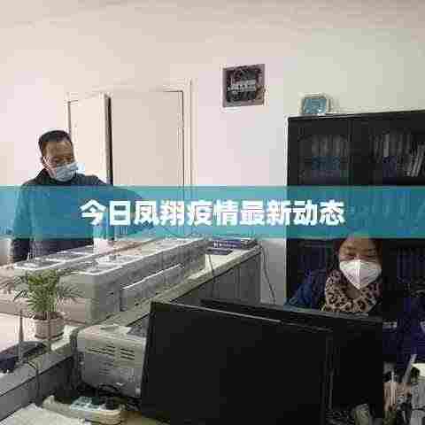 今日凤翔疫情最新动态