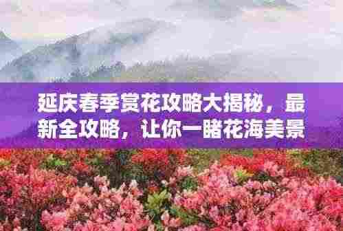 延庆春季赏花攻略大揭秘,最新全攻略,让你一睹花海美景