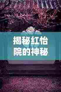 揭秘红怡院的神秘面纱,一探未知的世界