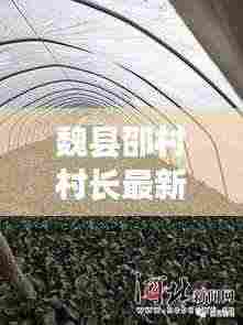 魏县邵村村长最新动态,头条新闻速递