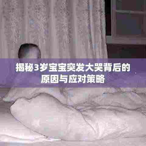 精雕细刻 第4页