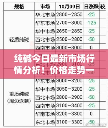纯碱今日最新市场行情分析！价格走势一网打尽！