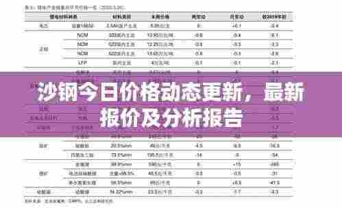 沙钢今日价格动态更新,最新报价及分析报告