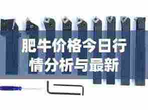 肥牛价格今日行情分析与最新市场动态
