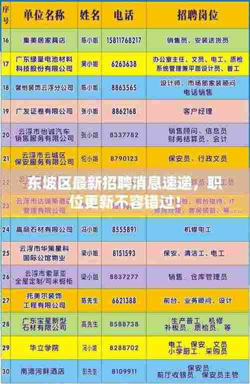 东坡区最新招聘消息速递,职位更新不容错过!