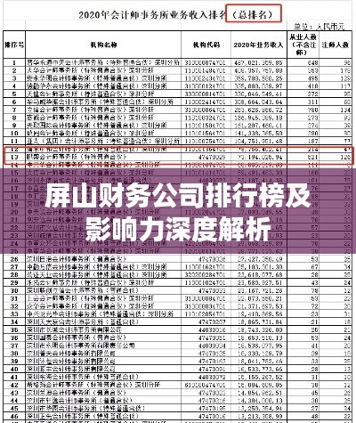 屏山财务公司排行榜及影响力深度解析