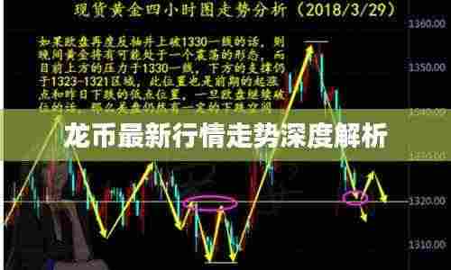龙币最新行情走势深度解析
