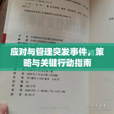 应对与管理突发事件,策略与关键行动指南