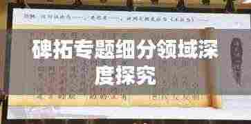 碑拓专题细分领域深度探究