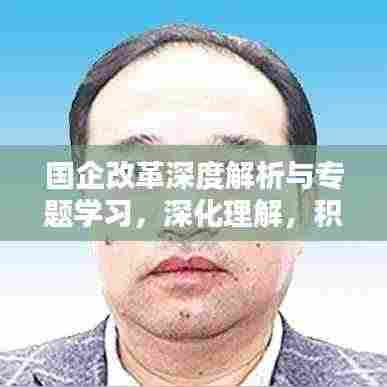 国企改革深度解析与专题学习,深化理解,积极实践之路