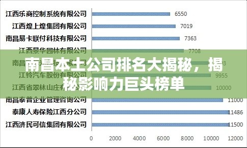 南昌本土公司排名大揭秘,揭秘影响力巨头榜单