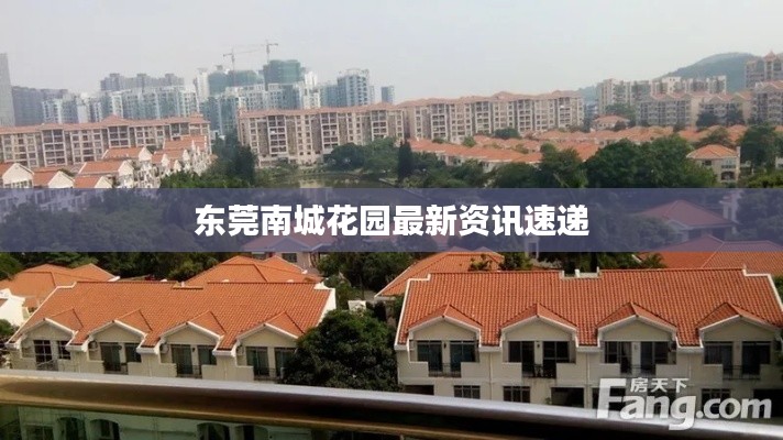 东莞南城花园最新资讯速递