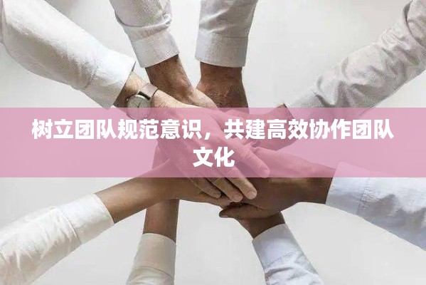 树立团队规范意识,共建高效协作团队文化