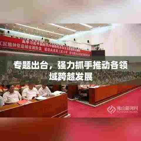 专题出台,强力抓手推动各领域跨越发展