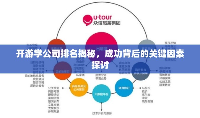 开游学公司排名揭秘,成功背后的关键因素探讨