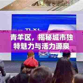 青羊区，揭秘城市独特魅力与活力源泉的专题探索