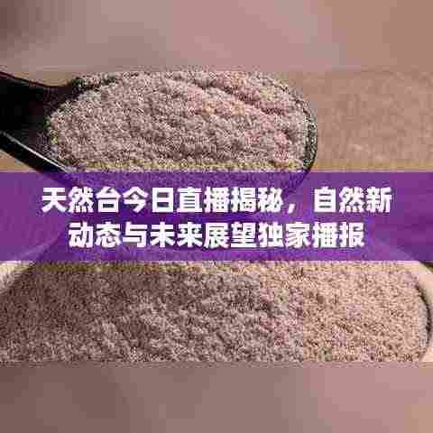 天然台今日直播揭秘，自然新动态与未来展望独家播报