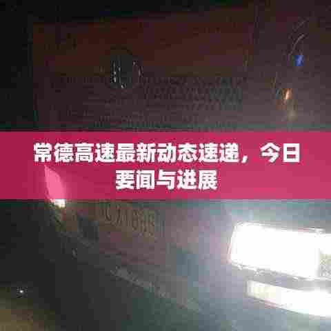 雅量高致 第3页