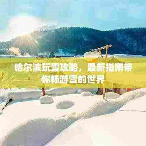 哈尔滨玩雪攻略，最新指南带你畅游雪的世界