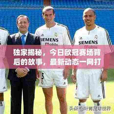 独家揭秘,今日欧冠赛场背后的故事,最新动态一网打尽!