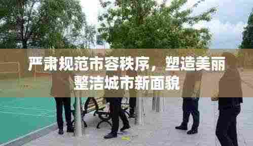 严肃规范市容秩序，塑造美丽整洁城市新面貌