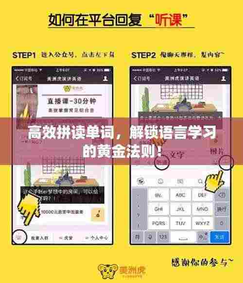 高效拼读单词，解锁语言学习的黄金法则！