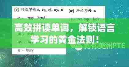高效拼读单词,解锁语言学习的黄金法则!