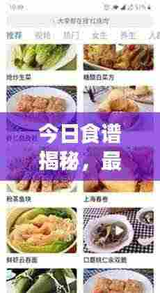 今日食谱揭秘，最新美食资讯与个性化推荐，不容错过！