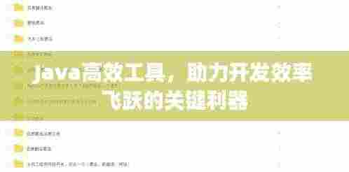 Java高效工具,助力开发效率飞跃的关键利器