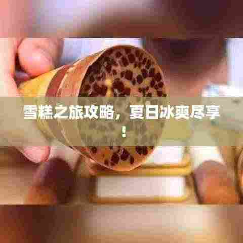 雪糕之旅攻略，夏日冰爽尽享！
