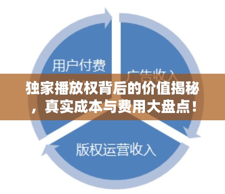 独家播放权背后的价值揭秘,真实成本与费用大盘点!