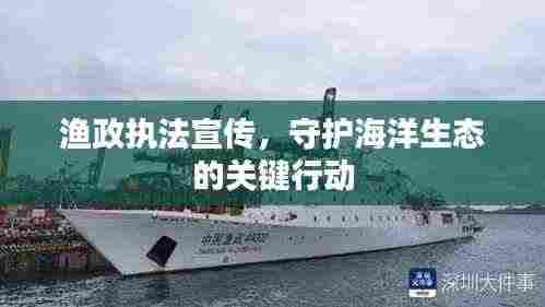 渔政执法宣传,守护海洋生态的关键行动
