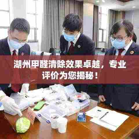 湖州甲醛清除效果卓越,专业评价为您揭秘!