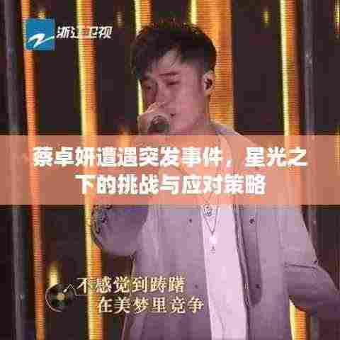 蔡卓妍遭遇突发事件,星光之下的挑战与应对策略