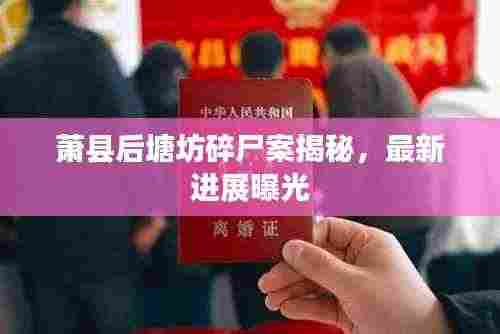 萧县后塘坊碎尸案揭秘,最新进展曝光