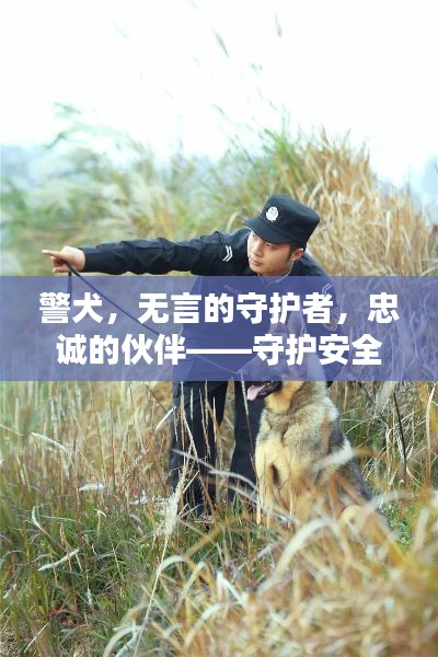 警犬,无言的守护者,忠诚的伙伴——守护安全与信赖的力量